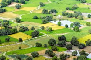 ניתוח תשואה: כמה זמן לוקח להחזיר השקעה בקרקע?
